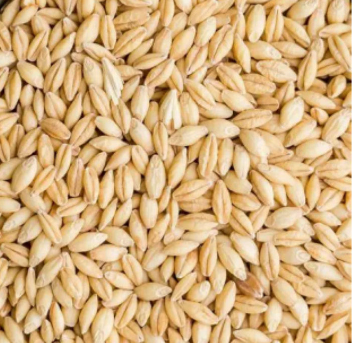 <p>Identify this feed</p>
