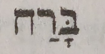 term image