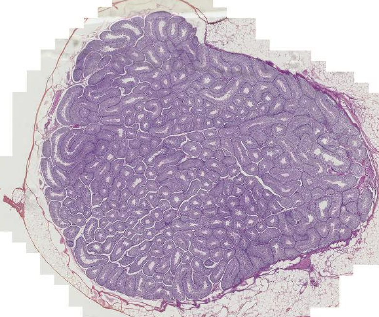 <p>What is this?</p>