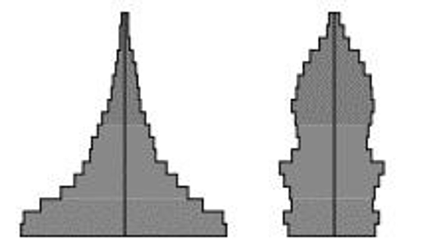<p>Graphs that show the distribution of various age groups in a population.</p>