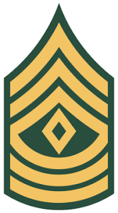 <p><strong>First Sergeant E8</strong></p>