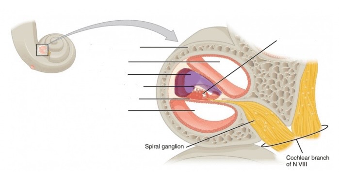 <p>What is this? </p>