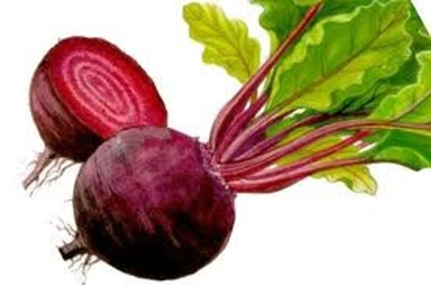 <p>beetroot</p>
