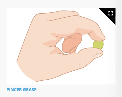 <p>Bangs two cubes together</p><p class="p1"><strong>Able to grab things with the thumb and pointer or middle finger <span>(</span>pincer grasp<span>)</span></strong></p>