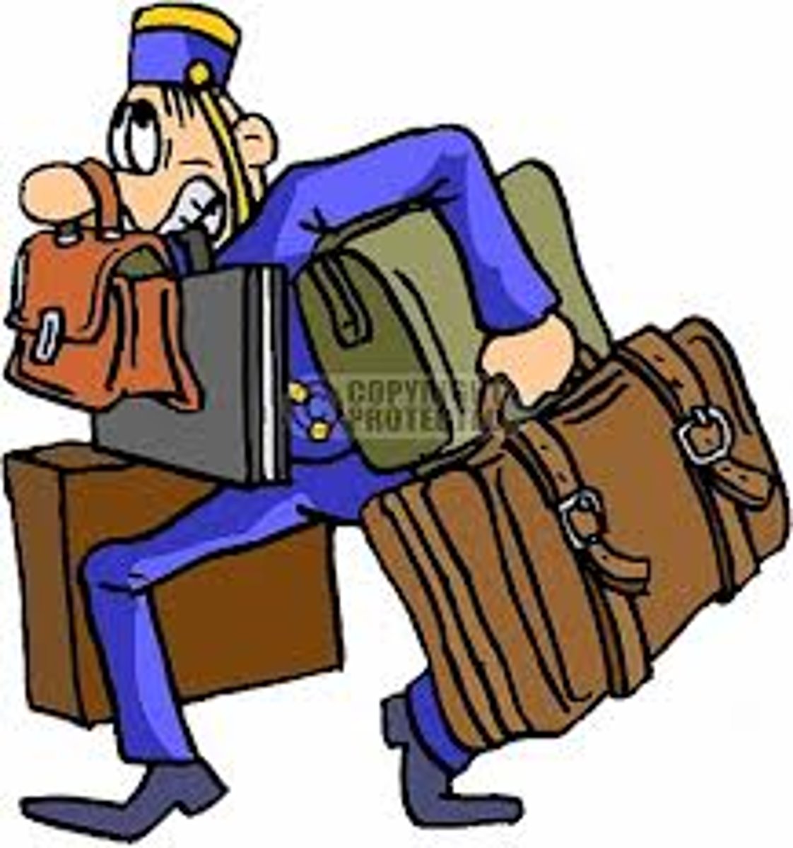 <p>the bellhop</p>
