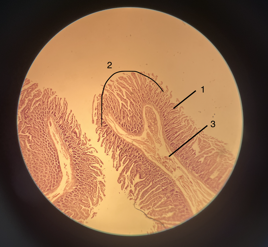 <p>2</p>