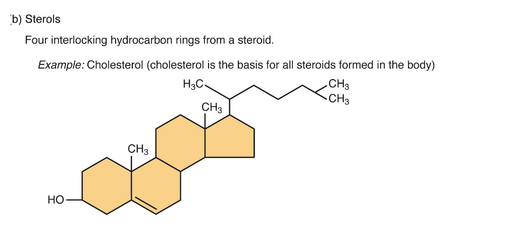 <p>4 Hydrocarbon rings bonded to a variety of other atoms and molecules</p>