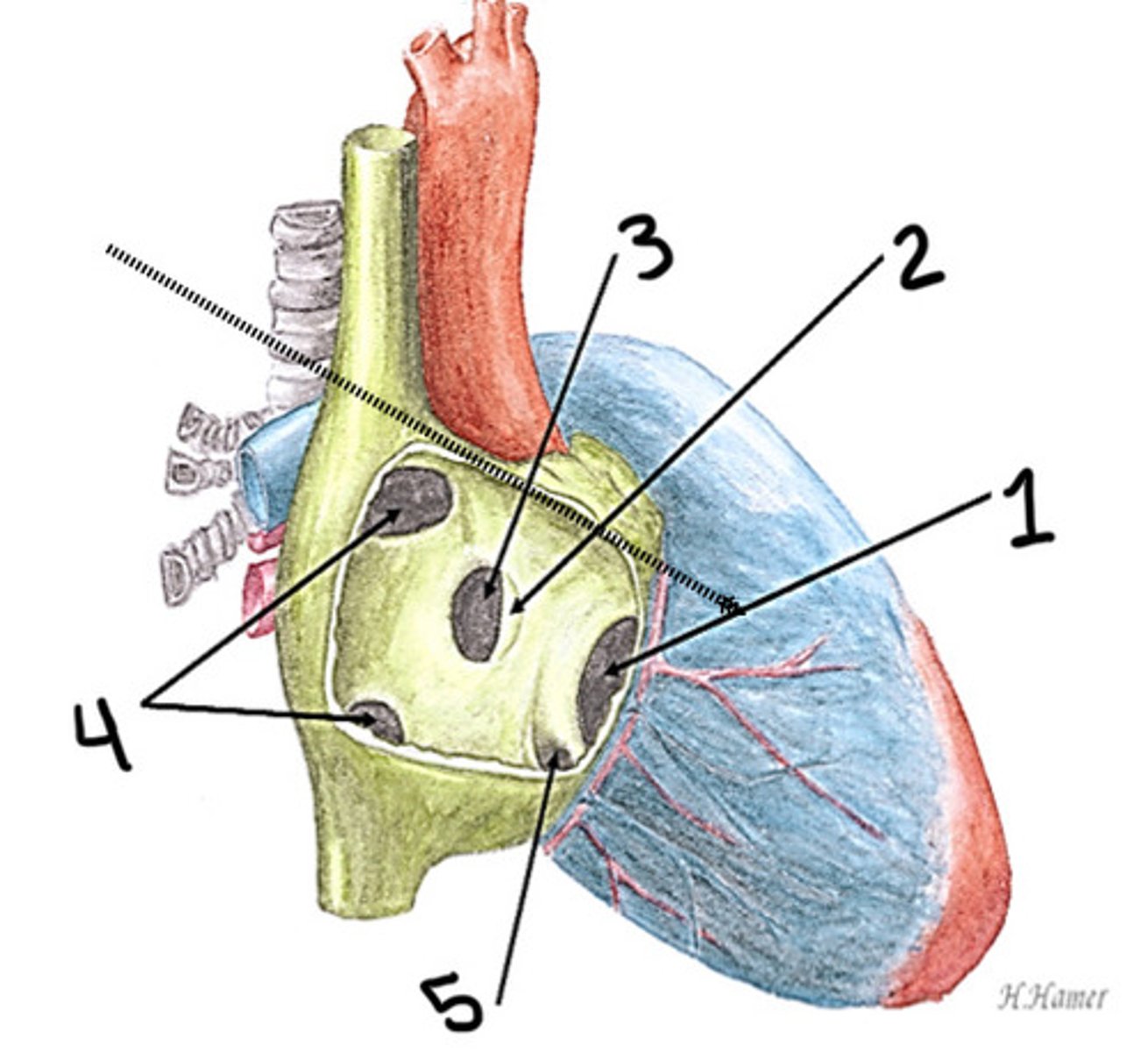 <p>What is 3</p>