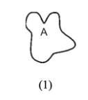 <p>A on this actin is the what?</p>