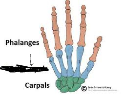 <p>What are these?</p>