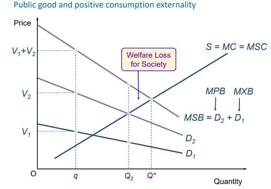 <p>free ridder problem can be viewed as a positive consumption externality</p><p>D1 represents the free riders who experience the external benefits (MXB) without paying for the good </p><p>production occurs at MSC = D2 instead of MSC = MSB (= D2+D1) as D1 doesnt pay for the good when they can be a free rider </p><p>this leads to underproduction and a welfare loss </p>