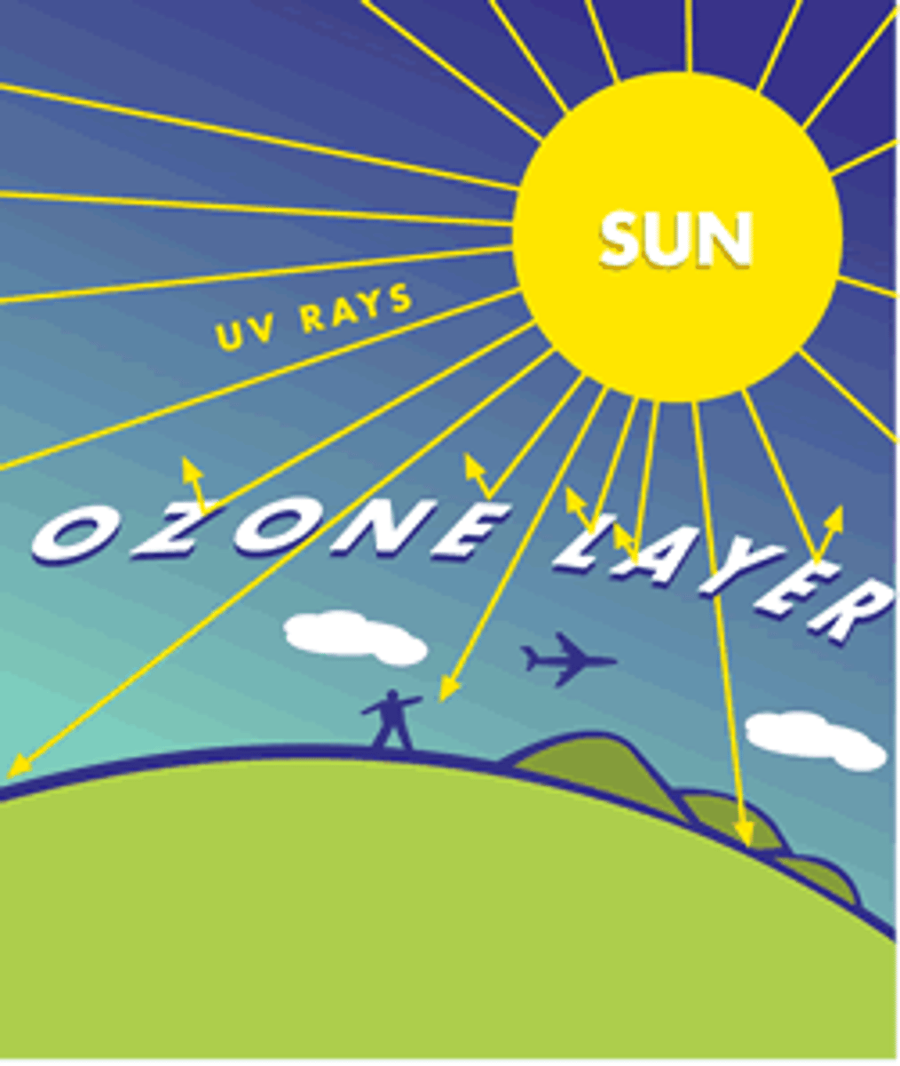 <p>ozone layer</p>