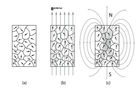 <ul><li><p>we are filled with hydrogen atoms - protons</p><ul><li><p>protons are in groups</p></li></ul></li><li><p>domains aligning magnetic field in same direction</p><ul><li><p>reacting to external magnetic field</p></li></ul></li></ul><p>net magnetic moment, and bulk material contains small regions known as magnetic domains, where atomic magnetic moments are mainly aligned</p><p>alignment of magnetic domains can persist after removal of external field - making permanent magnets for use in MRI</p>