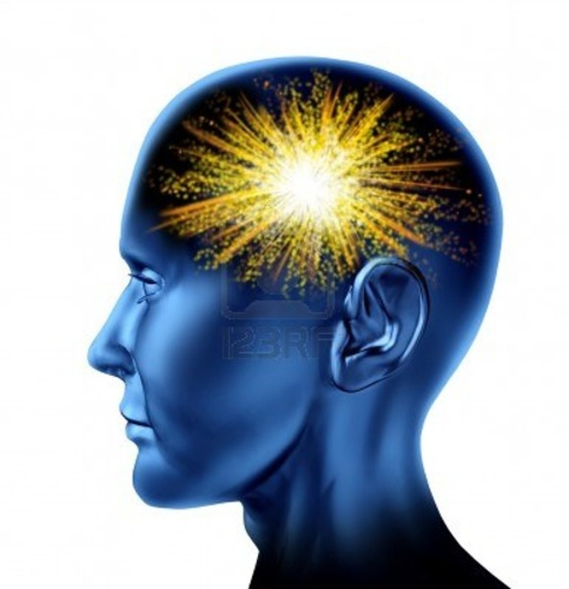 <p>the mind</p>