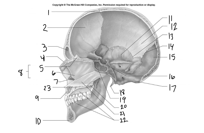 <p>4</p>