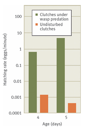 <p>What’s the main message?</p>