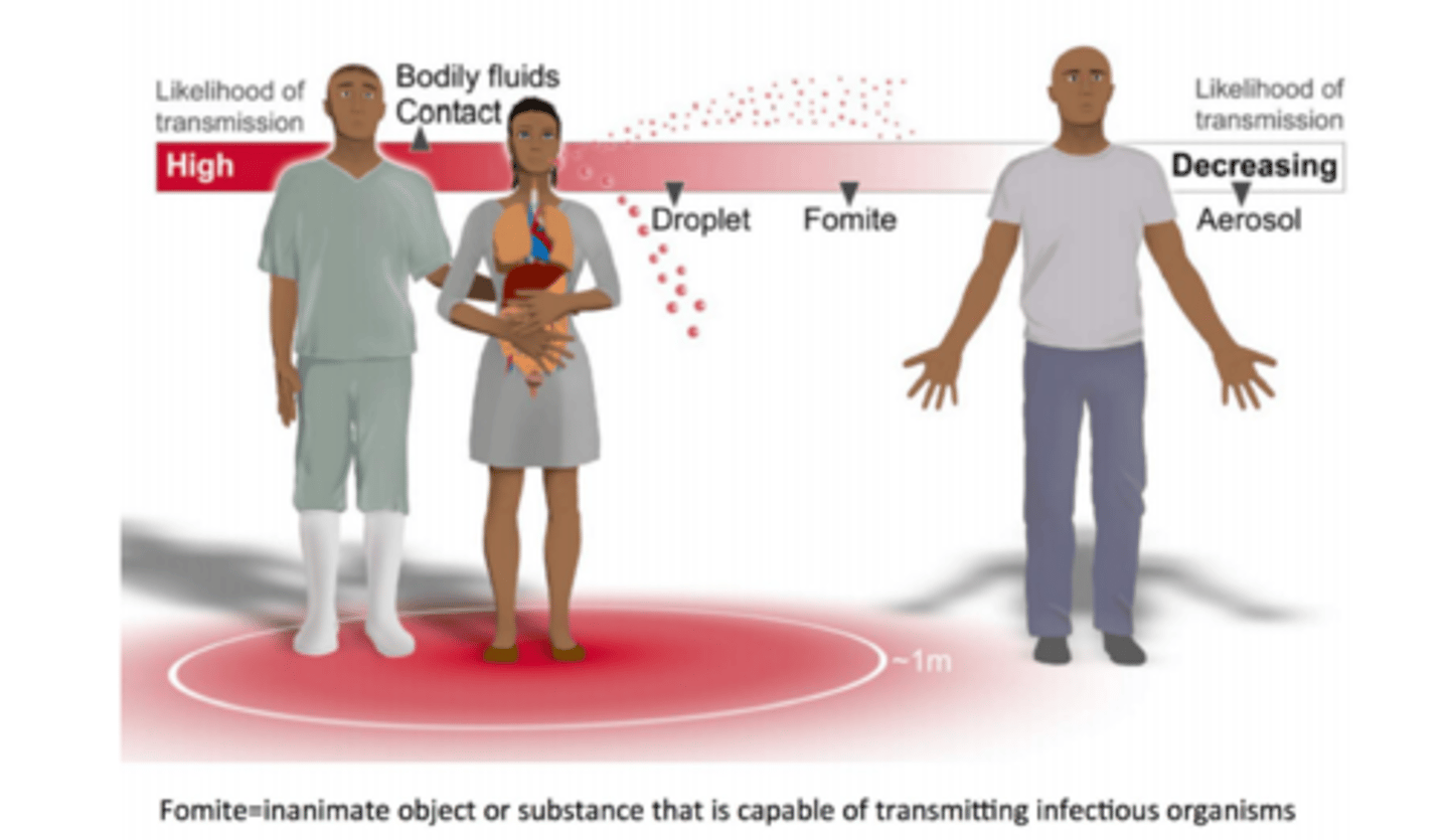 <p>bodily fluid contacts ( high)</p><p>droplet</p><p>fomite</p><p>aerosol</p><p>fomite= inanimate object or substance that is capable of transmitting infectious organisms eg dust particles</p>