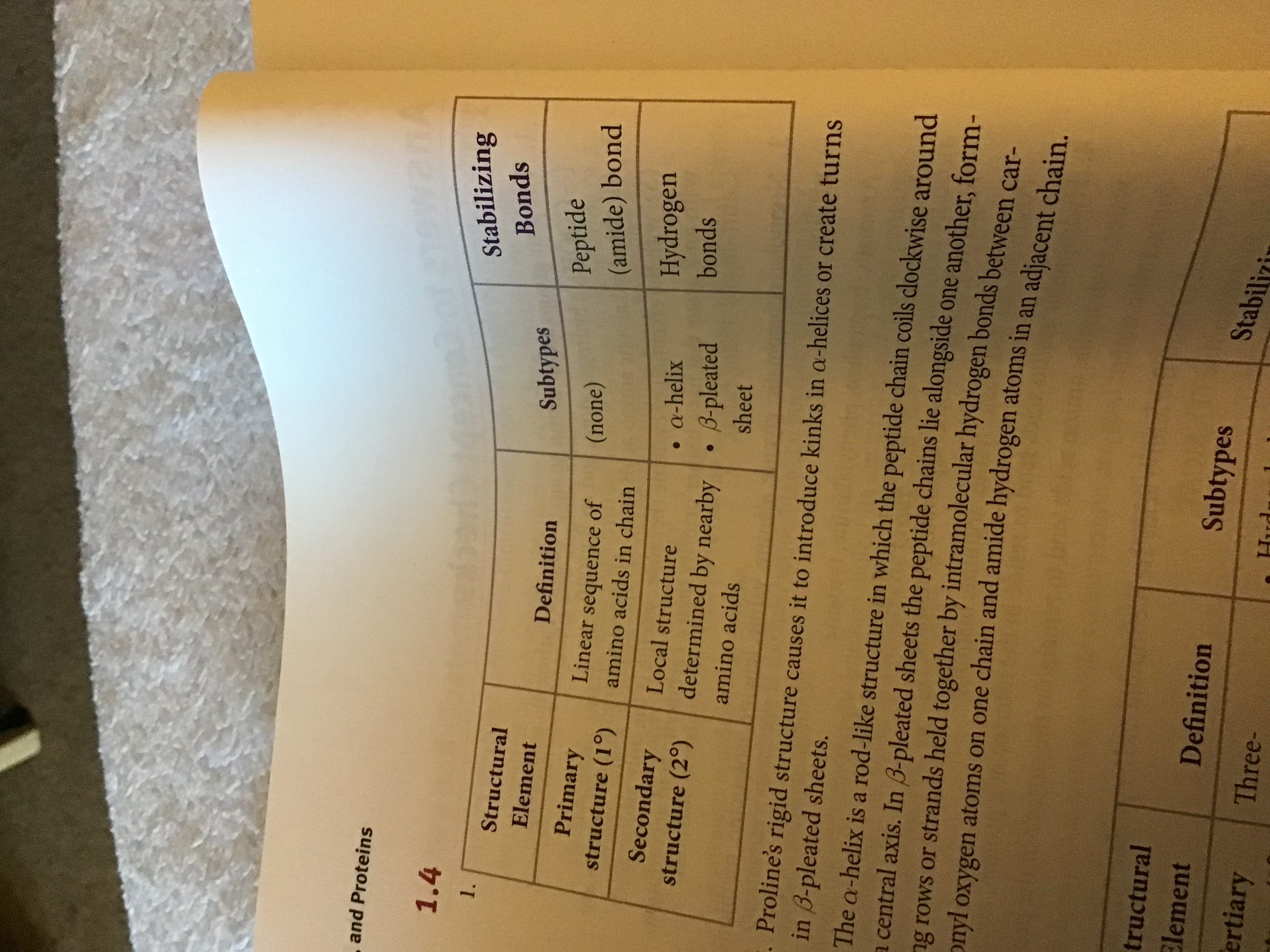 <p>Primary structure, linear sequence of amino acids in chain subtypes, none stabilizing bonds, peptide amid bond, secondary structure, local structure, determined by nearby, amino, acids subtypes, alpha, helix, beta, pleated shit, stabilizing, bonds, hydrogen bonds</p>