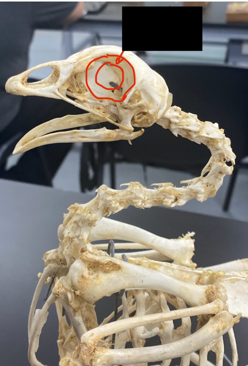 <p>What part is this </p>