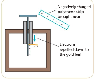 <p>bringing a negatively charges polythene strip to <strong>negatively charge</strong> electroscope</p><p>—&gt;Since like charge repel, the negative electrons will be repelled down towards the gold leaf. <strong><span style="color: red">The leaf will diverge more</span></strong></p>