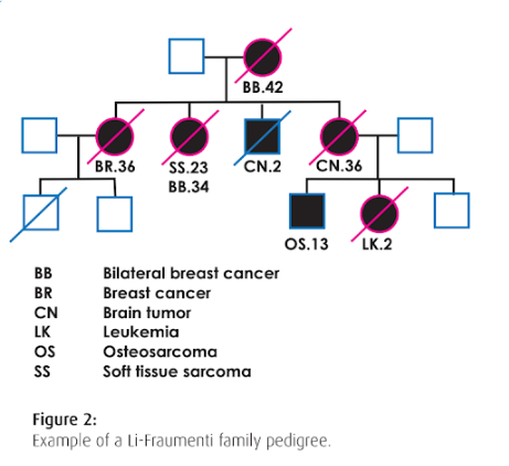 <p><span>Which generation shows that a son died as an infant from cancer according to the pedigree?</span></p>