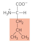 <p>What is this?</p>