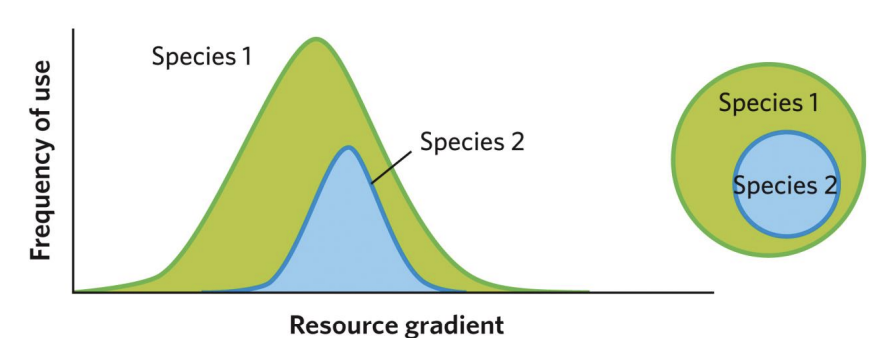 <p>cannot coexist due to competitive interactions. In this illustration, species 2 has no resource it can access outside the influence of species 1.</p>