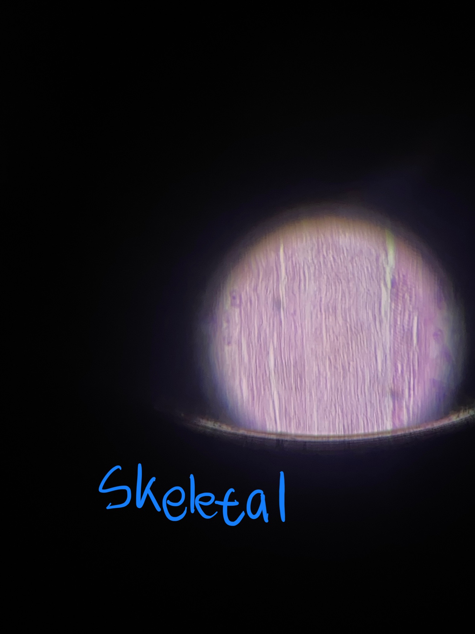 term image