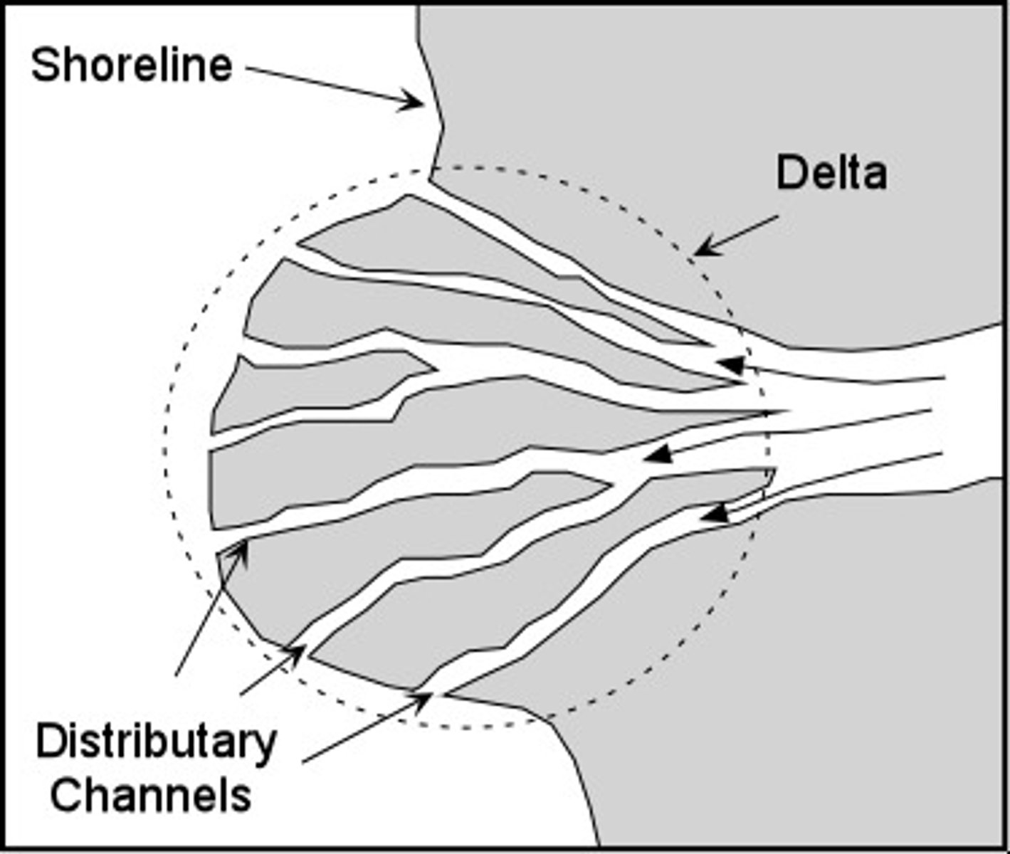 <p>river mouth split into tributaries which salt and fresh water mix, causing it to fluctuate (joinign together to make something heavier), making the material heavier and deposit. This creates new land</p>