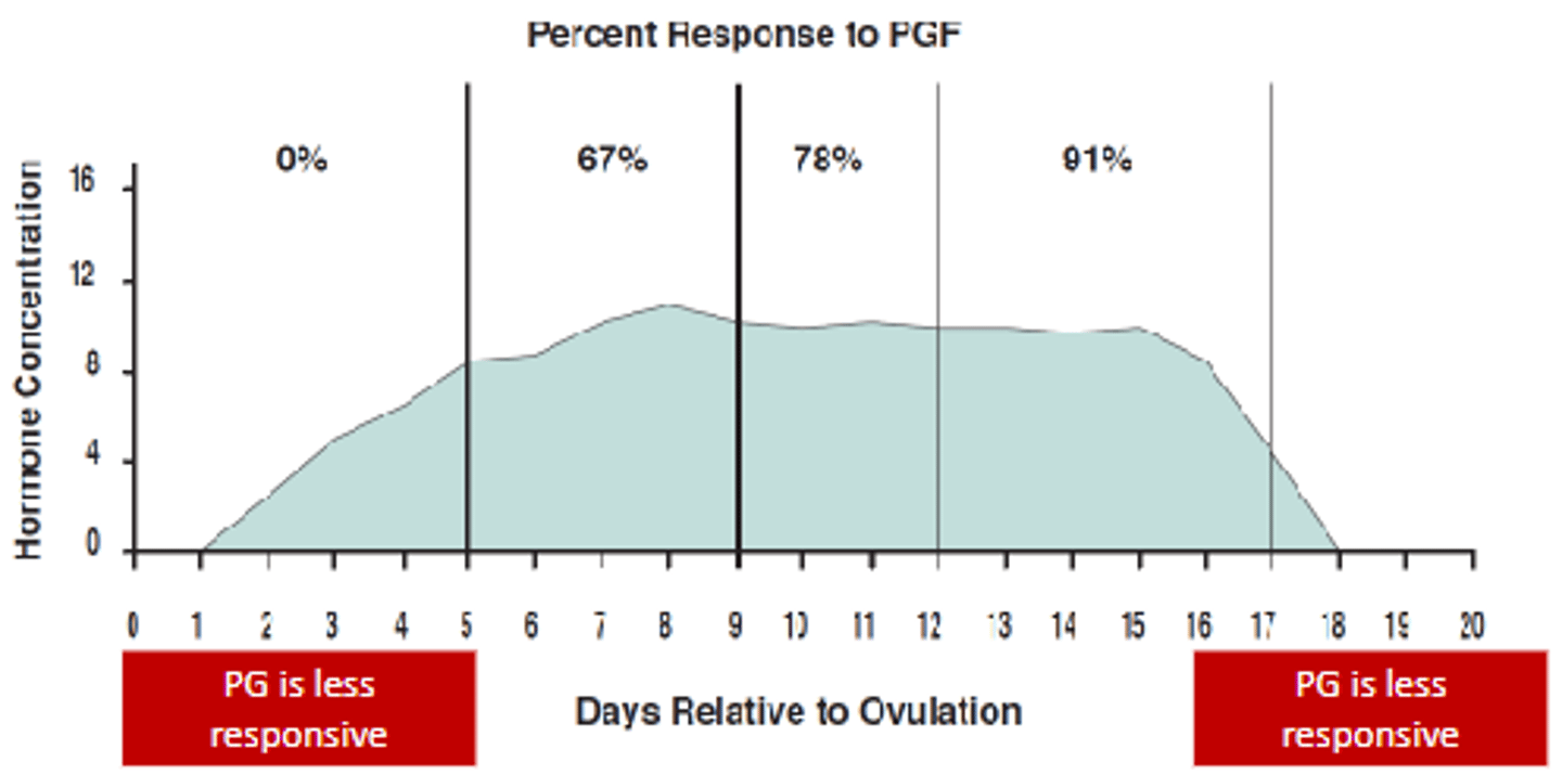 <p>- Cows from day 7 and heifers from day 5 of the estrous cycle</p><p>- Less responsive during metestrus or early diestrus and at/after spontaneous luteolysis</p><p>- Aim to cause luteolysis prior to atresia of the first follicular wave emergence</p><p>i.e. CL death > drops in progesterone > animals enters proestrus > enters estrus > insemination at detected oestrus</p><p>- Ideal for cycling animals, will cause abortion in pregnant animals</p>