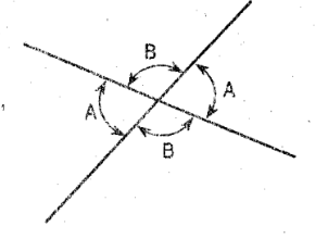 <p>Vertical Angles</p>