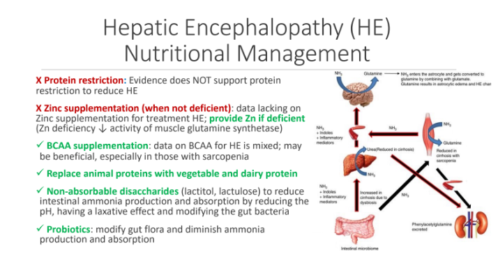 <ol><li><p><strong>BCAA supplementation</strong>: data on BCAA for HE is mixed; may be beneficial, especially in those with sarcopenia</p></li><li><p><strong>Replace animal proteins with vegetable and dairy protein</strong></p></li><li><p><strong>Non-absorbable disaccharides</strong> (lactitol, lactulose) to reduce intestinal ammonia production and absorption by reducing the pH, having a laxative effect and modifying the gut bacteria</p></li><li><p><strong>Probiotics</strong>: modify gut flora and diminish ammonia</p><p>production and absorption</p></li></ol><p></p>
