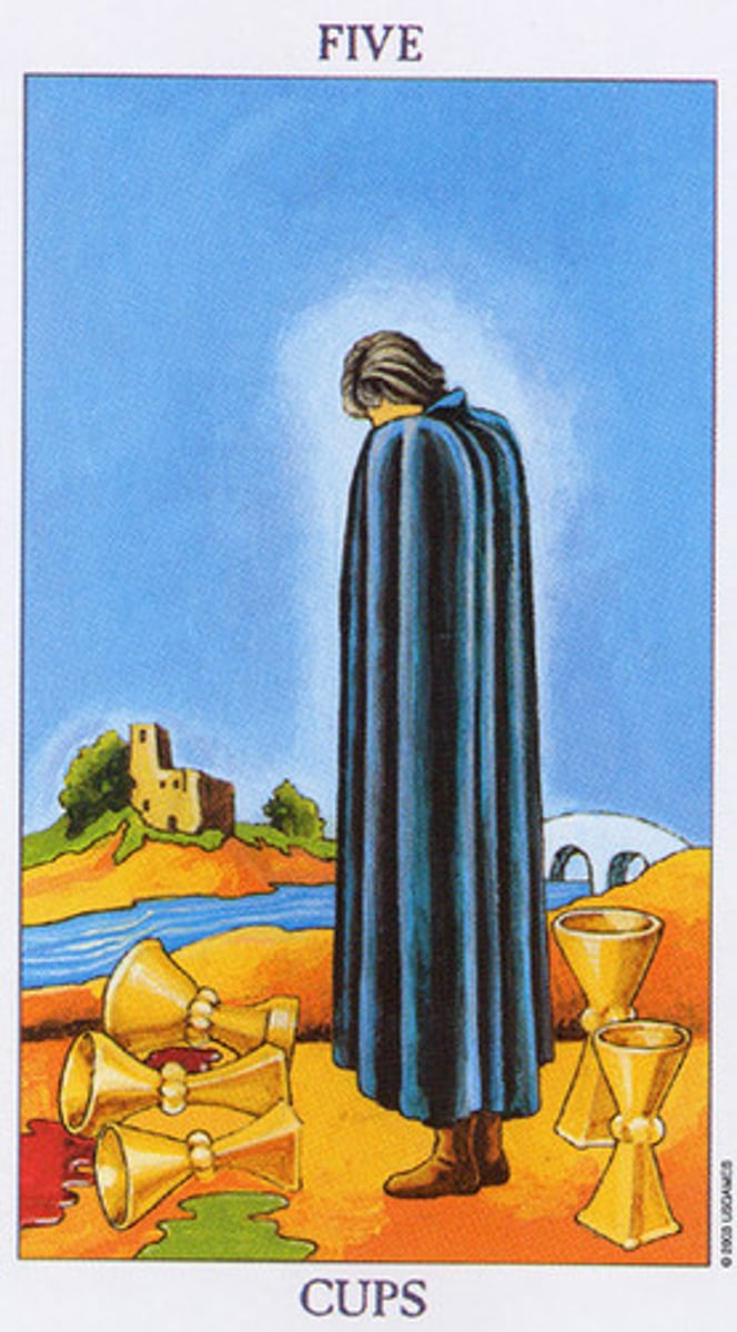 <p>Feelings of disappointment.</p><p>Letdown or betrayal.</p><p>Regrets.</p>