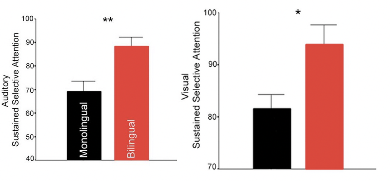 <p> <span><span>Behavioral results (standardized scores)</span></span><br><span><span>from attention task: billing. > mono. in both visual and auditory</span></span></p>