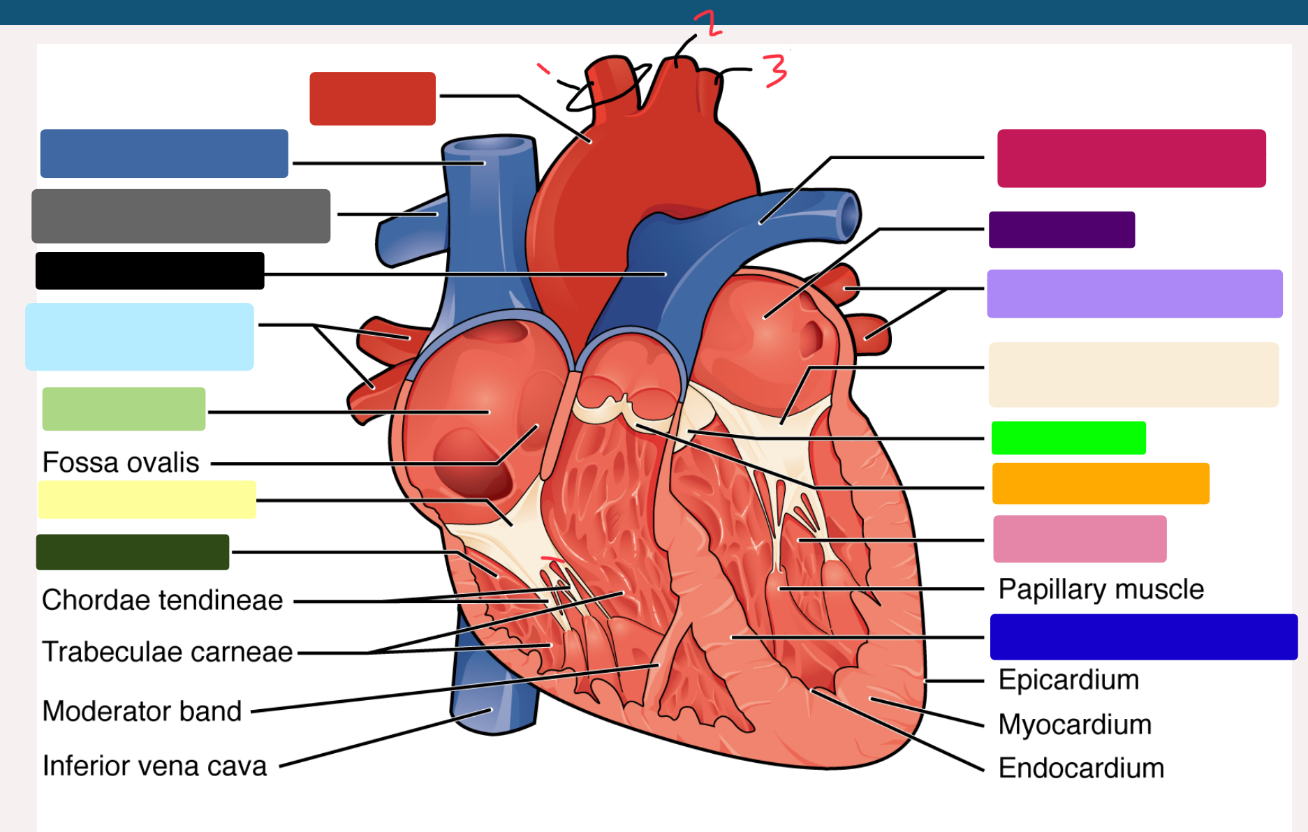 <p>What is number 3 </p>