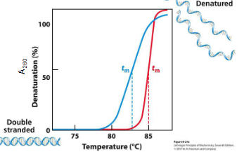 <p>explain this graph</p>