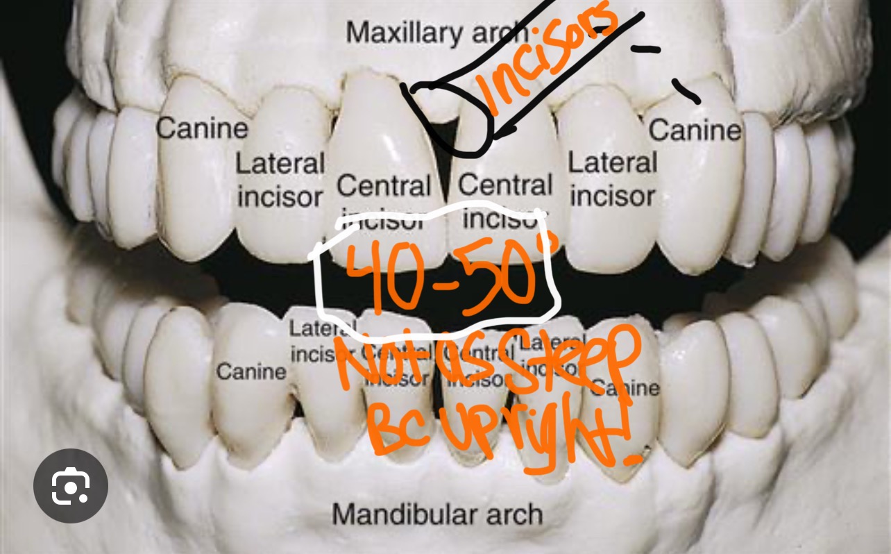 <p><br></p><ul><li><p>40° to +50°</p></li></ul><p></p>