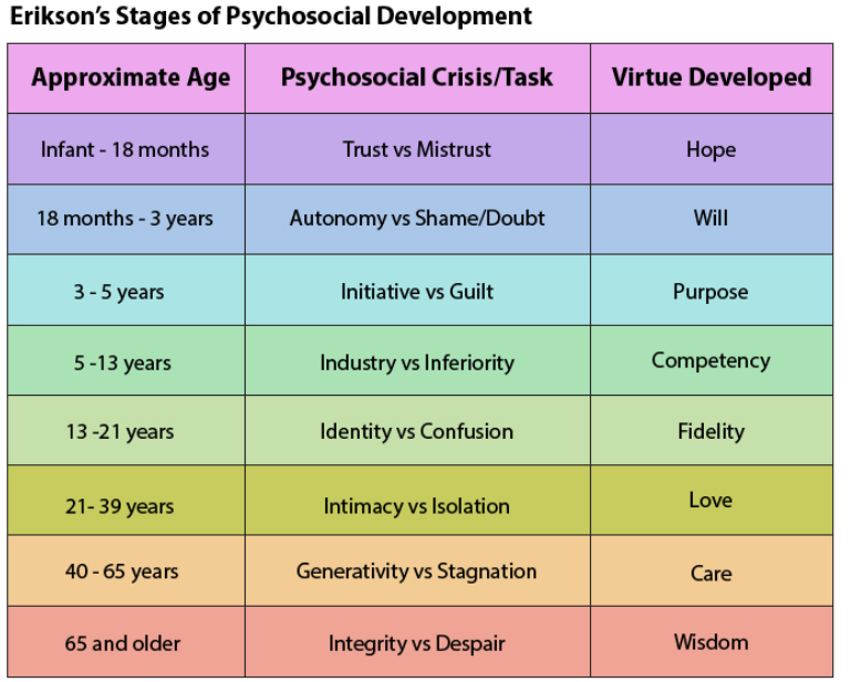 <p>Erikson’s stages of development</p>