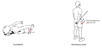 <p>These additional isotonic exercises are called what?</p>