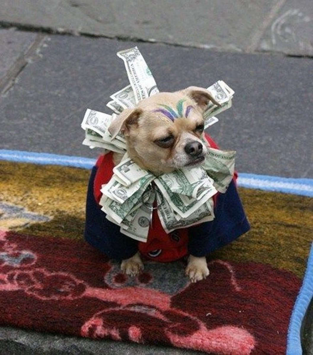 <p>Rich</p>