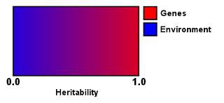 the proportion of variation among individuals that we can attribute to genes. This may vary, depending on the range of populations and environments studied.