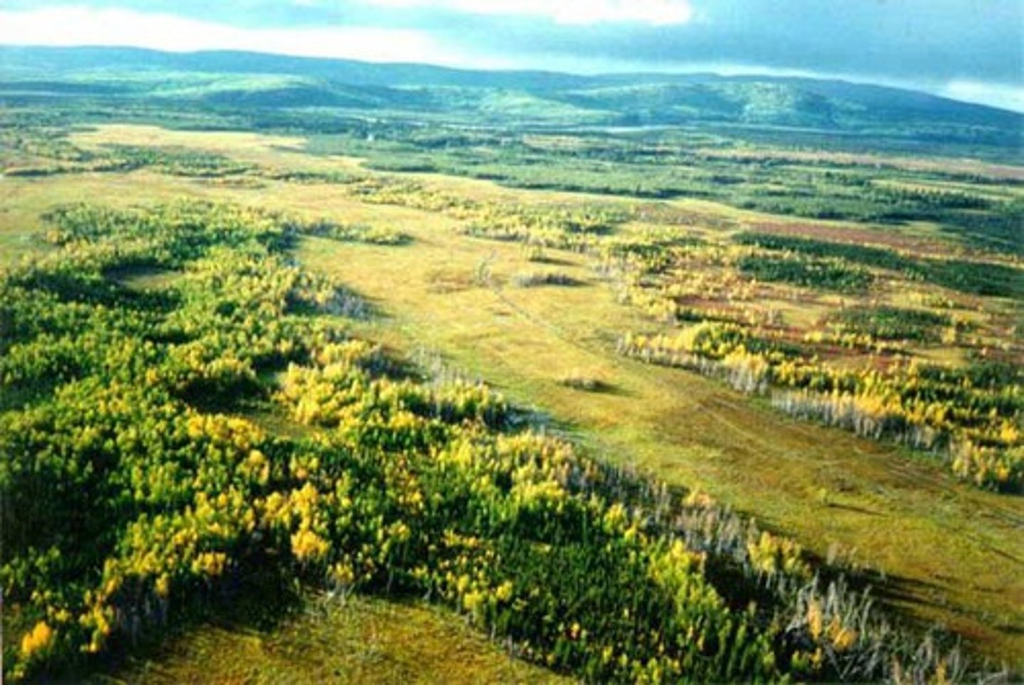 <p>land, Earth</p>