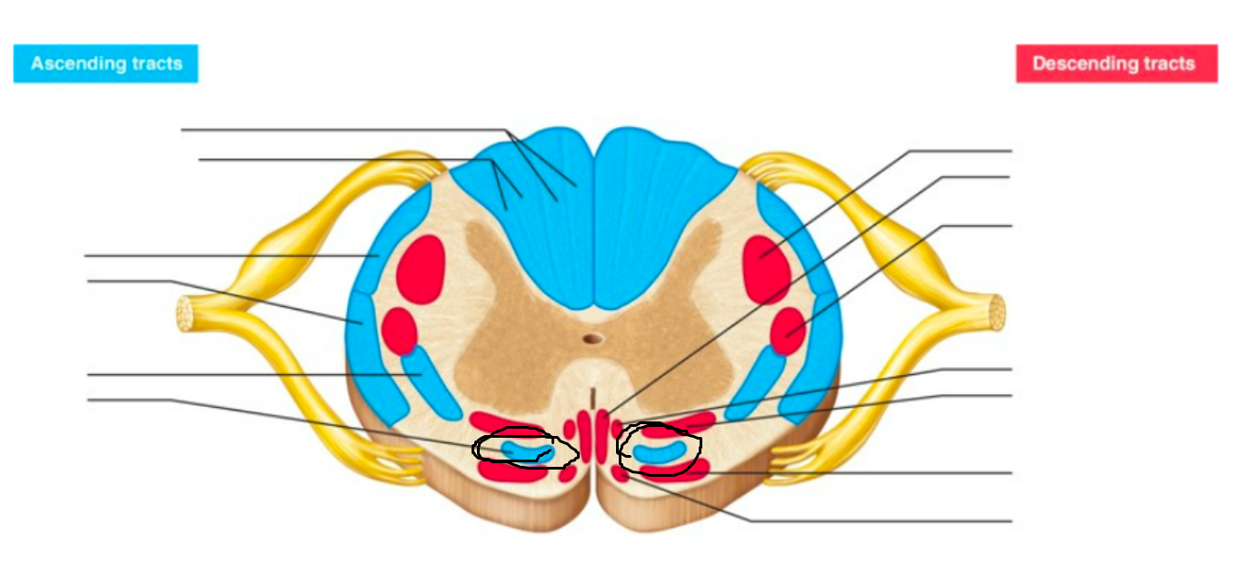 <p>what tract is this</p>
