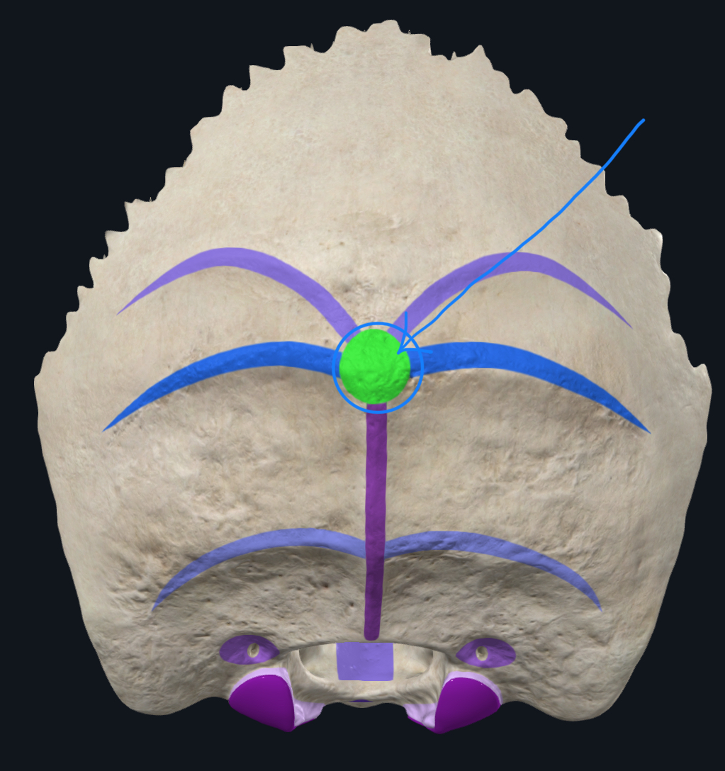 <p>what is this?</p>