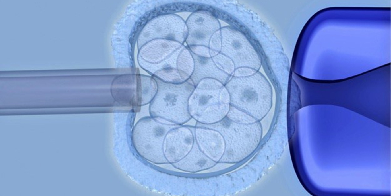 <p>The photo below shows a researcher&apos;s pipette drawing in a human stem cell for a CRISPR-Cas9 gene editing experiment. Why are embryonic stem cells preferred for this kind of research? a. Due to their totipotency, embryonic stem cells can only differentiate into the few important cell types that are of interest when editing embryonic genomes. b. embryonic stem cells only make baby cells so editing experiments will not affect the adult phenotype. c. Due to their totipotency, embryonic stem cells can produce all cell types that occur in later developmental stages. d. Because they are multipotent, embryonic stem cells are ideal for gene editing research.</p>