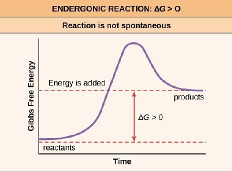 <p>reacties die niet spontaan doorgaan omdat het product meer energie bezit dan het substraat (<span><span>∆G>0)</span></span></p>