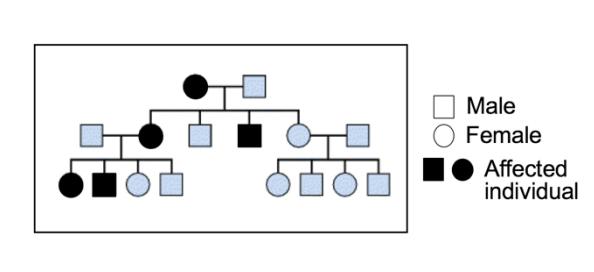 <p>Looked at Hereditary retinoblastoma</p><ul><li><p>mutation is recess</p></li><li><p>BUT</p></li><li><p>predisposition to the mutation is autosomal dominant trait</p><ul><li><p>based on likelihood of inactivation of the remaining gene copy</p></li></ul></li></ul><p></p>