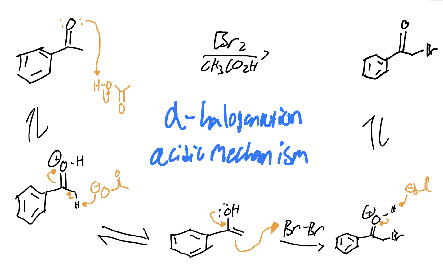 <p>Alpha Halogenation - Acidic Conditions</p>