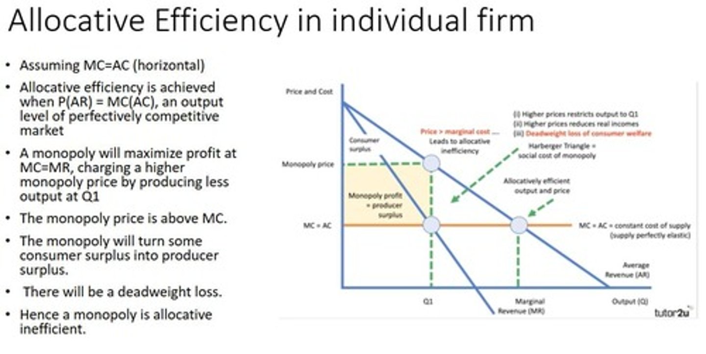 <p>Resources match consumer preferences (P = MC or AR=AC, P = MSC if there is externalities).</p>