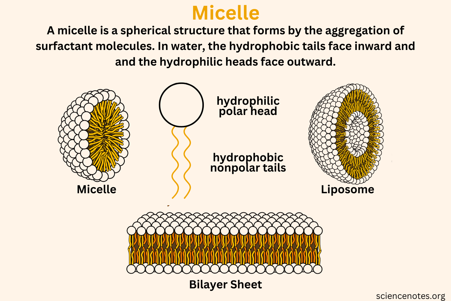 <p>type of bilayer formation. Cosists of a core and a shell where hydrophobic end groups form the core and hydrophilic head groups form the outer shell </p>